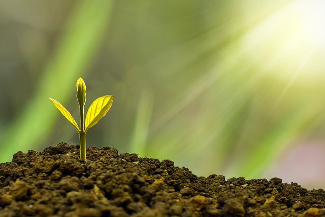 investir son argent : pour le faire fructifier