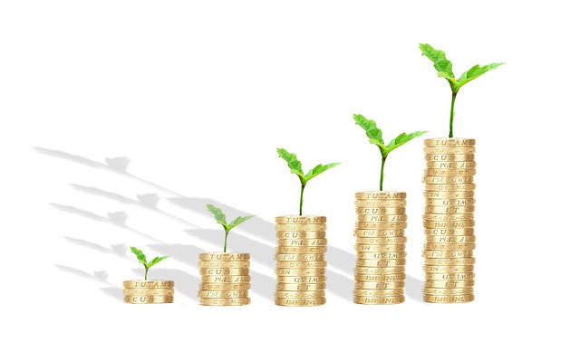 Comment bien investir son argent sans risque