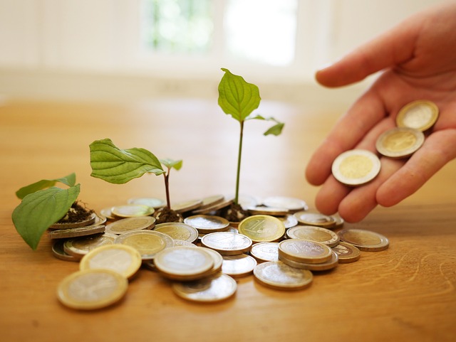 Devenir financièrement indépendant : multipliez vos sources de revenus